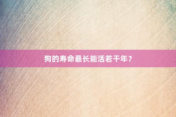 狗的寿命最长能活若干年？