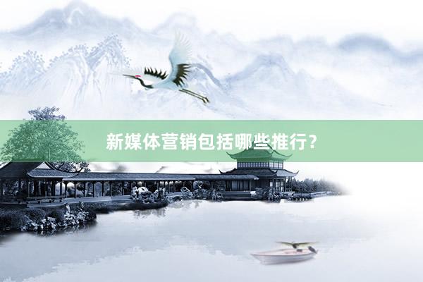 新媒体营销包括哪些推行？