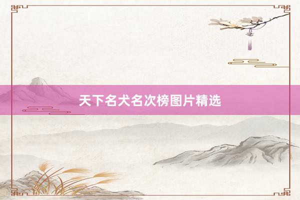 天下名犬名次榜图片精选